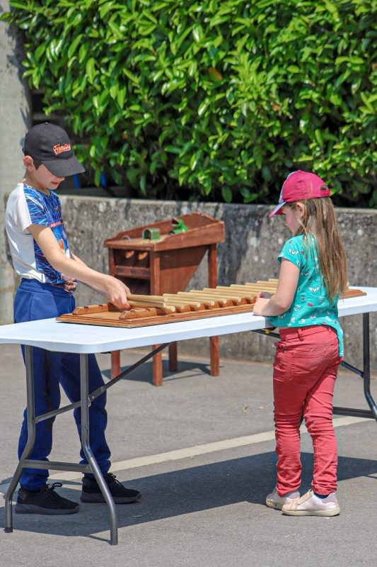 Fête de l'environnement